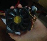 AMD stock coller