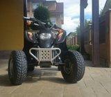 Access Motor Patriot 100, 2008 god