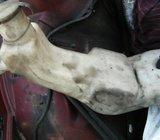 e34 posuda za stakla