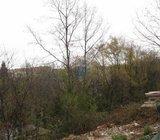 HITNO!!!! Spuštena cijena!!! GRAĐEVINSKI TEREN 2450m2