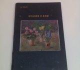 Stjepan Pirnat : Cvijeće u sobi