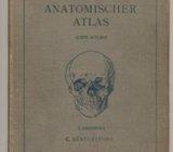 Toldt Anatomischer atlas Bänderlehre 1914. godina