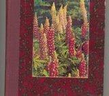 Vale Vouk Nauka o životu bilja ( biologija bilja )