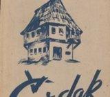 Viktor Grmović Čardak Pripoviest iz Bosne