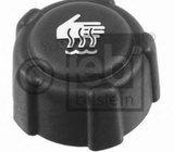 Čep posude vode hladnjaka Clio Kangoo Megan Vivaro 8200048024 4408066