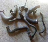 renault clio crijeva