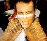 4 GRAMOFONSKE PLOČE GRUPE 'ADAM AND THE ANTS' U KOMPLETU