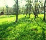 Vikend parcela u u!
