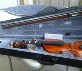Violina VN 4/4 EF