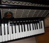 harmonika