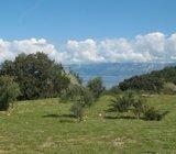 SNIŽENO!!!Zemljište na Pelješcu u T-II zoni - 3400m2