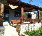 Dugi otok, Žman, Krknata - kućica + stoljetni maslinik +