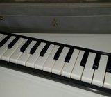 Hohner melodika