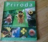 PRIRODA 6