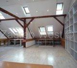 Hebrangova 5s(220m2)Poslovni prostor u centru+parking (iznajmljivanje)
