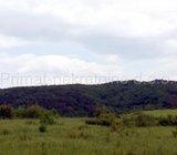 Jelova šuma i oranica površine 4805 m2