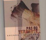 Andrea Camilleri Pas od terakote