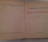 Braća Karamazovi Dostojevski