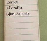 Branko Despot, Filozofija Gjure Arnolda