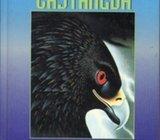 CARLOS CASTANEDA : ORLOV DAR , 2002
