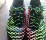 Magista