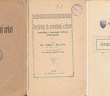 Albert Ruville, Natrag k svetoj crkvi. Doživljaji i spoznaje jednog ob