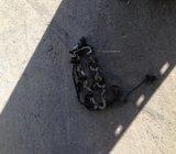 Calibra v6 kablovi i BOBINA