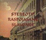 Anica Bilić, Stereotipi raspojasane Slavonije, 2007