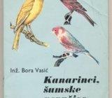 Bora Vasić Kanarinci, šumske pevačice i papagaji