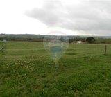 Level land surrounded by Vineyards for residential building