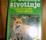 DETLEF SINGER ŠETNJE PRIRODOM ŠUMSKE ŽIVOTINJE