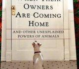 DOGS THAT KNOW WHEN THEIR OWNERS ARE COMING HOME