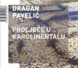 Dragan Pavelić : Proljeće u Karolinentalu