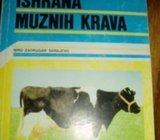 DR RAMIZ HANDŽIĆ ISHRANA MUZNIH KRAVA