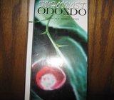 DUHOVNOST ODOZDO ANSELM GRUN MEINRAD DUFNER