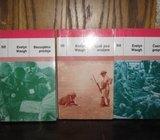 EVELYN WAUGH KOMPLET 1-3