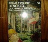 FORMA E COLORE BENOZZO LA CAPPELLA MEDICI