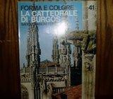 FORMA E COLORE LA CATTEDRALE DI BURGOS