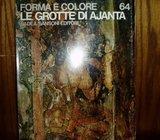 FORMA E COLORE LE GROTTE DI AJANTA