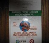 GLOBAL YEAR AGAINST MUSCULOSKELETAL PAIN OCTOBER 2009 - OCTOBER 2010