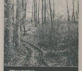 Goran Vuković Klopka za koljače - hrvatanje ustaša: Kavran, Miloš