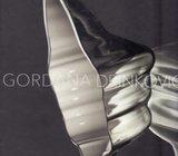 GORDANA DRINKOVIĆ : STAKLO MOJE DRUGO TIJELO - POTPIS AUTORICE