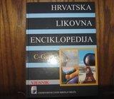 LIKOVNA ENCIKLOPEDIJA G-GOTH