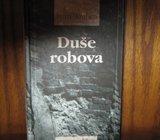 IVAN ARALICA DUŠE ROBOVA
