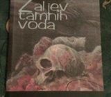 James W. Hall - Zaljev tamnih voda