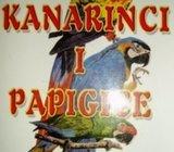 KANARINCI I PAPIGICE (I OSTALE PAPIGE I ŠUMSKE PJEVICE)