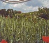 Knjiga - ZAGORSKE STEZE i Karta - Planinarske staze