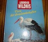 LEBENDIGE WILDNIS TIERE DER GRASLANDSCHAFTEN