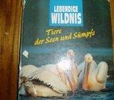 LEBENDIGE WILDNIS TIERE DER SEEN UND SUMPFE