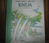 LIDIJA BAJUK PECOTIĆ KNEJA